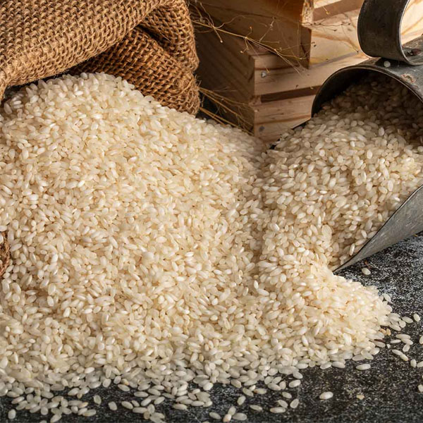 Idli Rice Suppliers